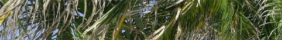 REreflections.com header image 3