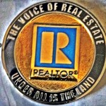 REALTOR Pin